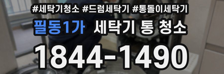 필동1가 세탁기 통 청소