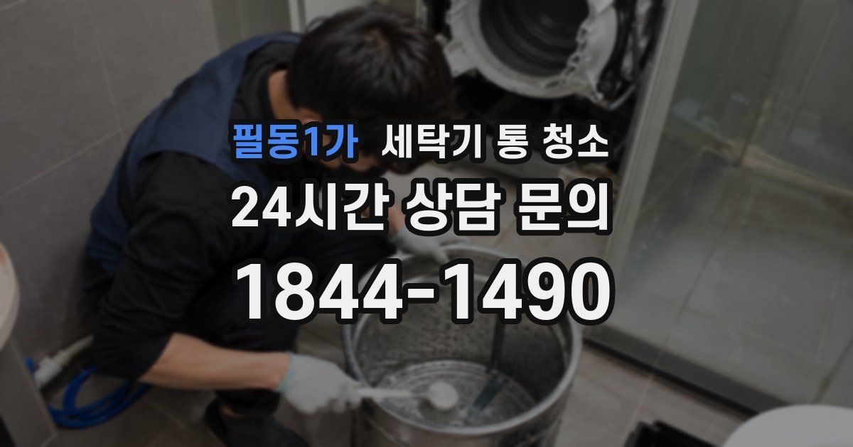 필동1가 세탁기 통 청소