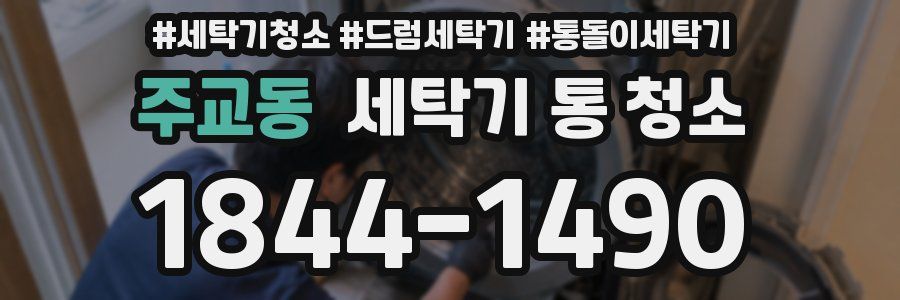 주교동 세탁기 통 청소