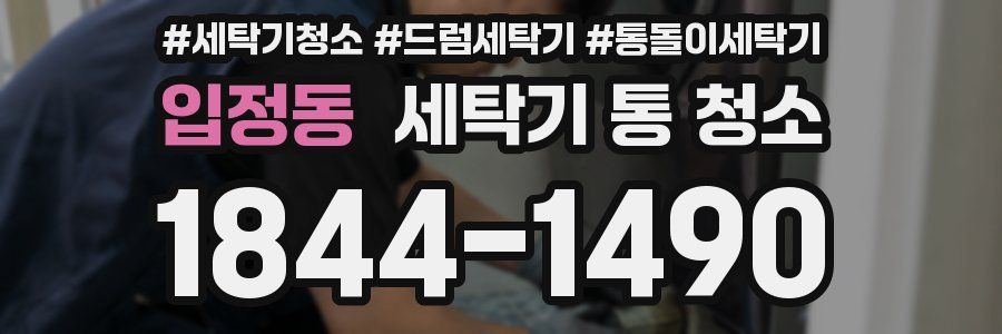 입정동 세탁기 통 청소