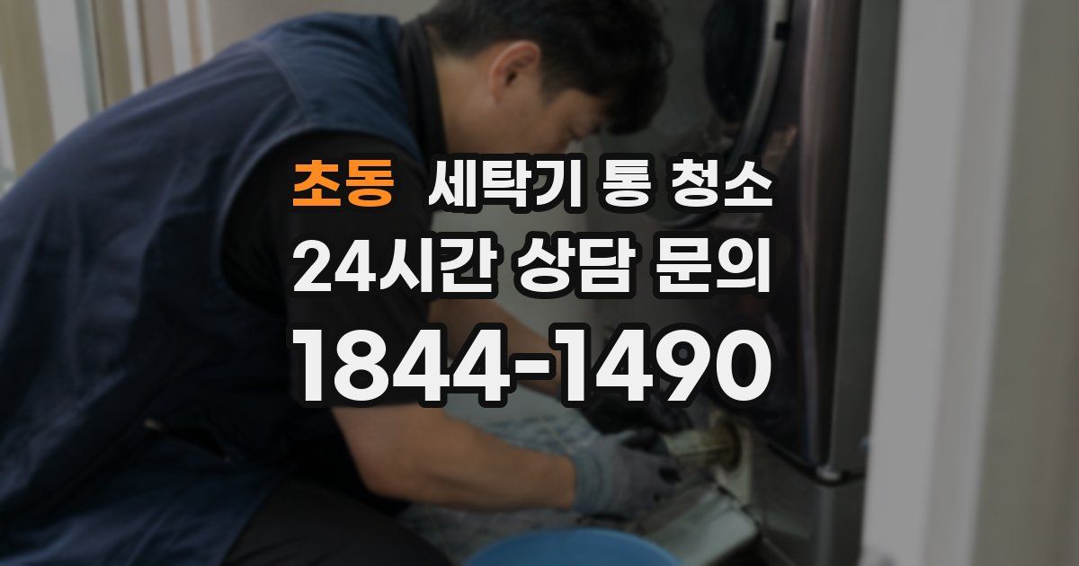 초동 세탁기 통 청소