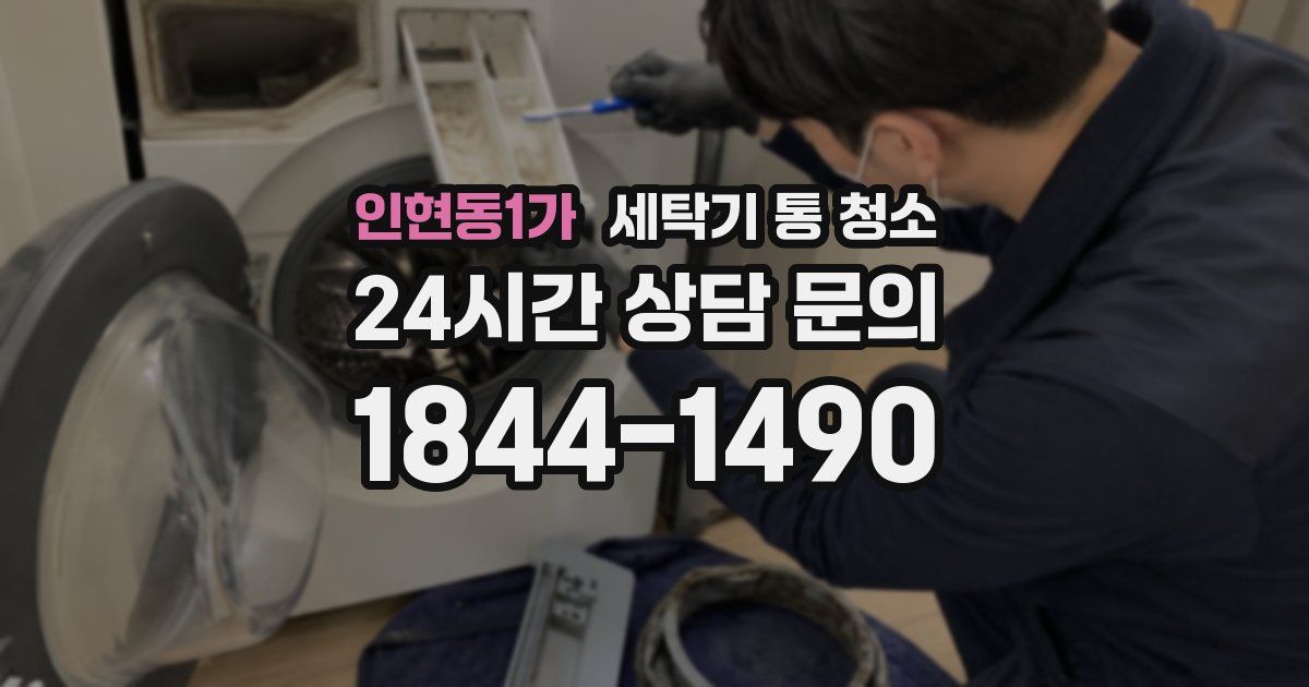 인현동1가 세탁기 통 청소