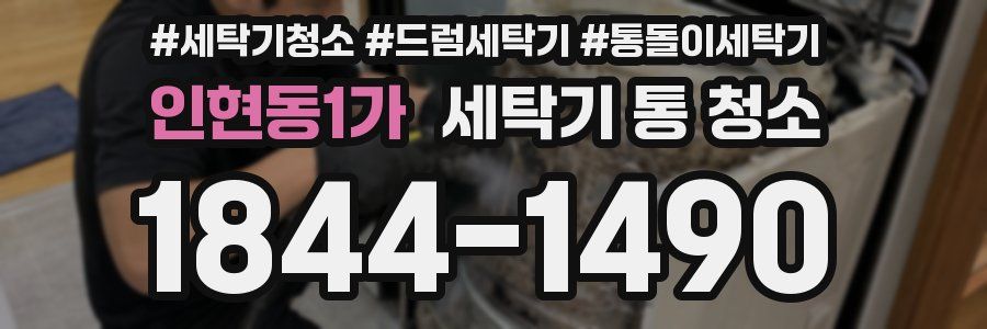 인현동1가 세탁기 통 청소