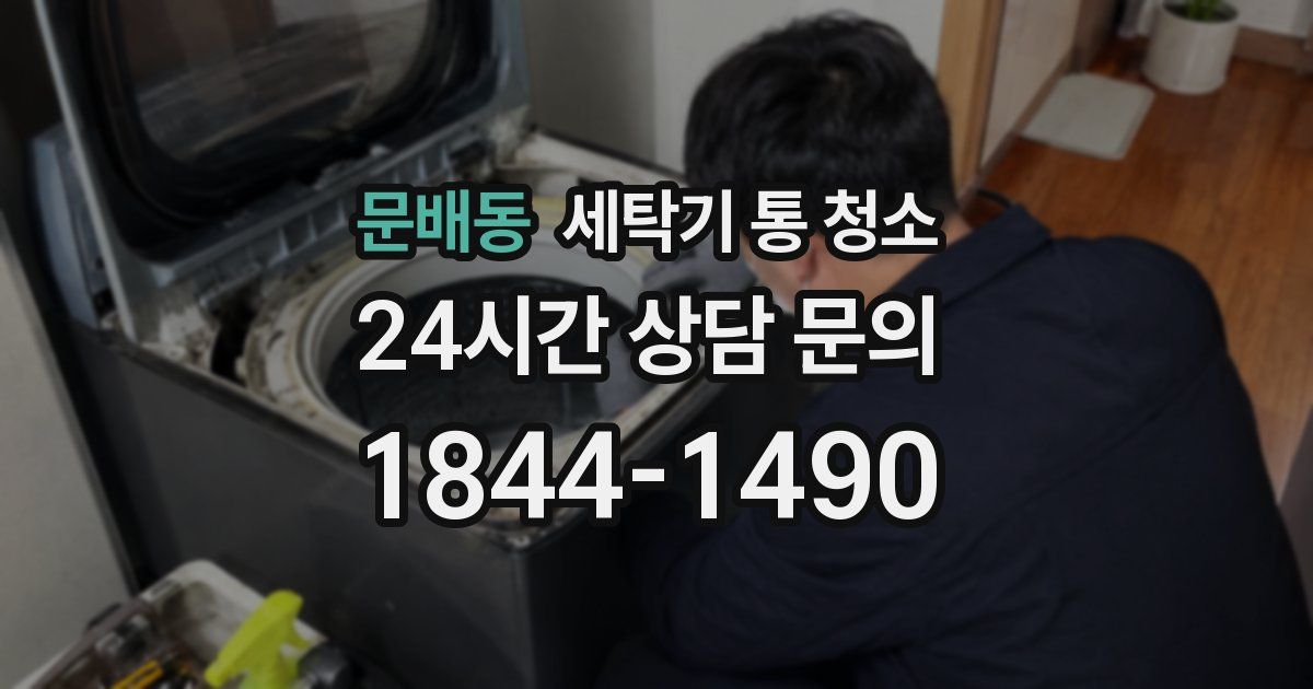 문배동 세탁기 통 청소