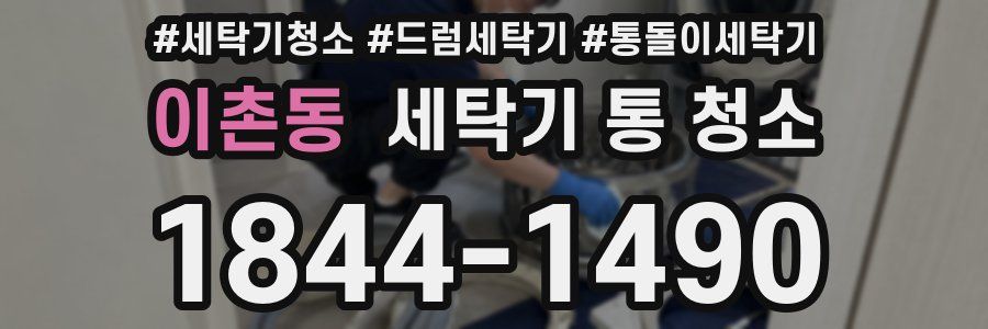 이촌동 세탁기 통 청소