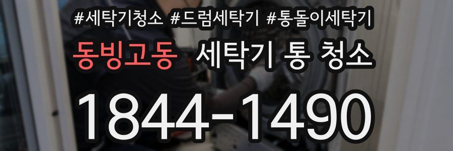 동빙고동 세탁기 통 청소