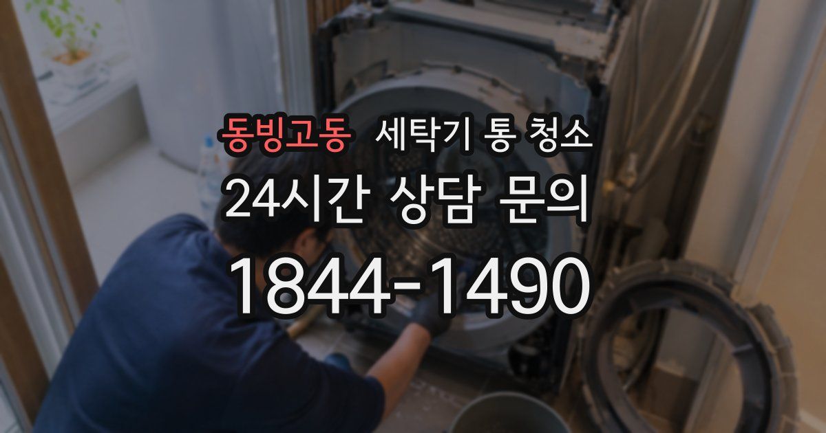 동빙고동 세탁기 통 청소