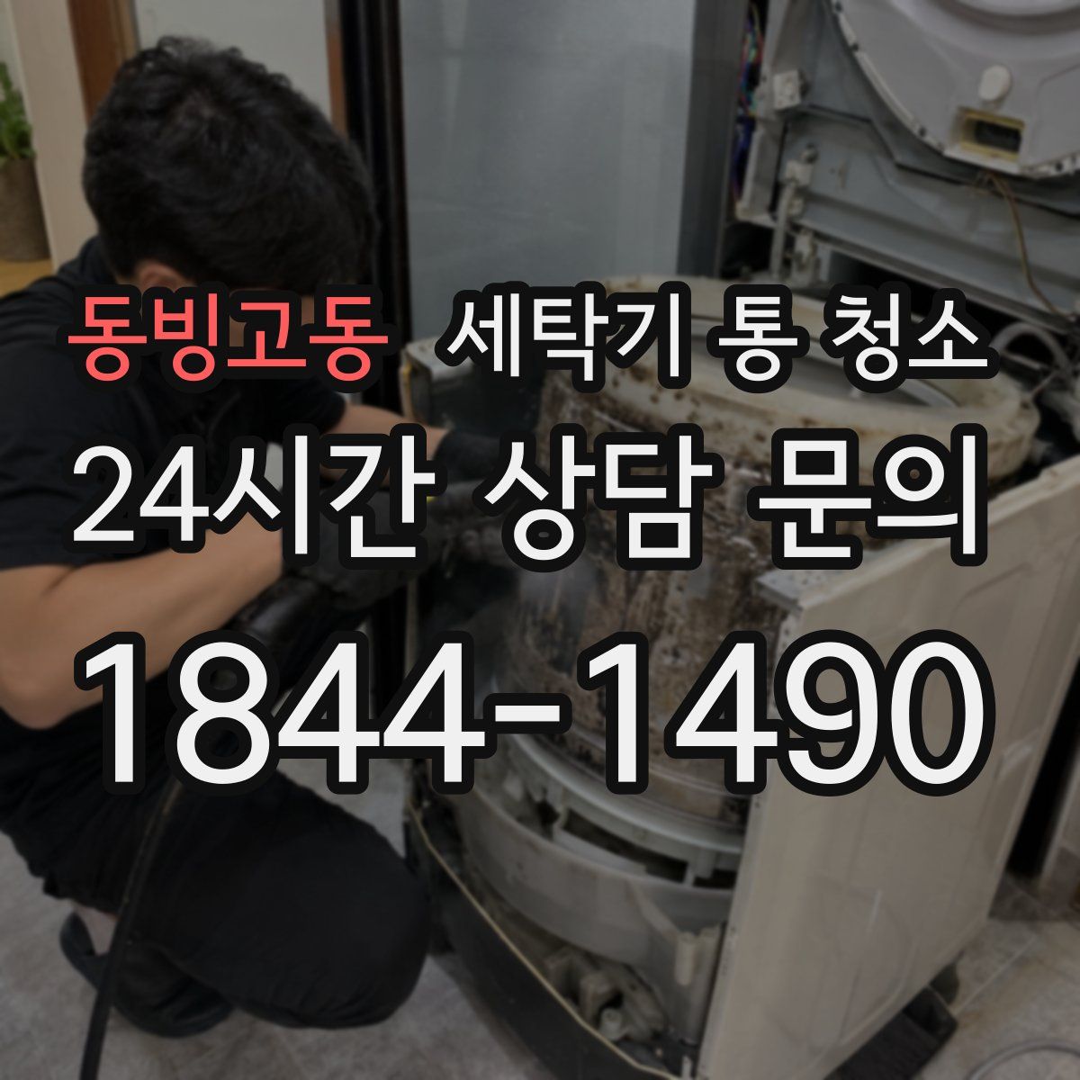 동빙고동 세탁기 통 청소
