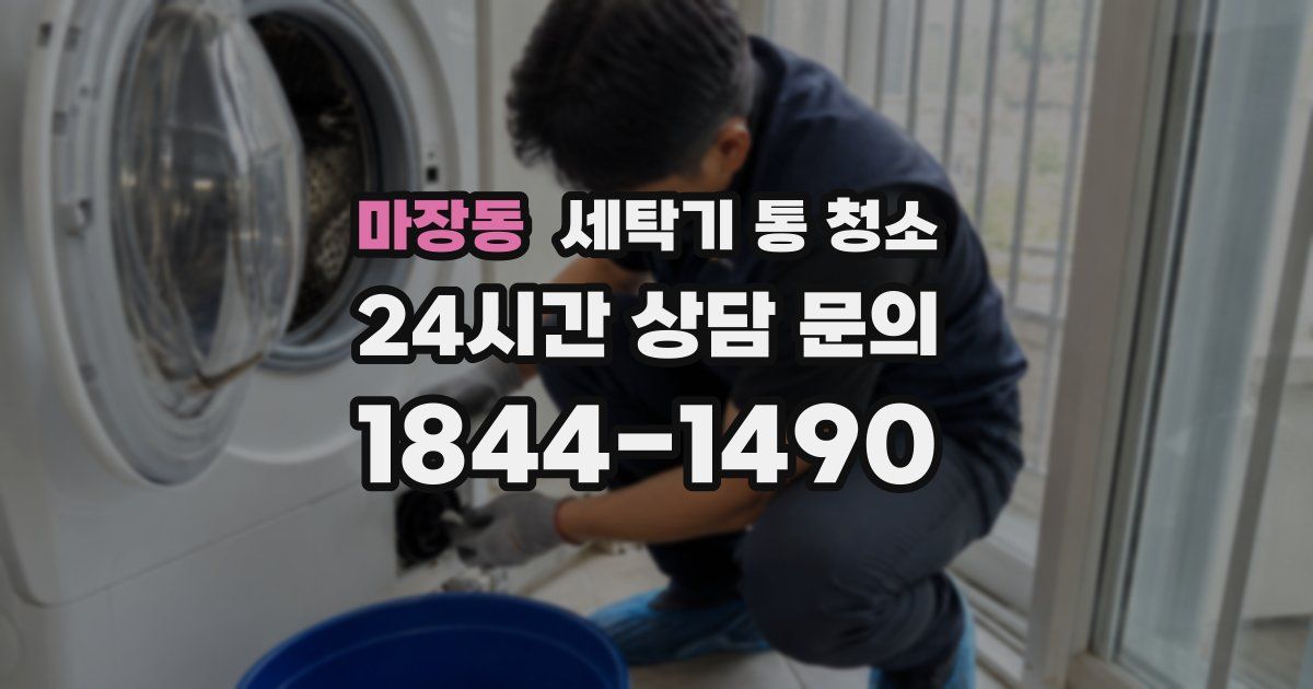 마장동 세탁기 통 청소