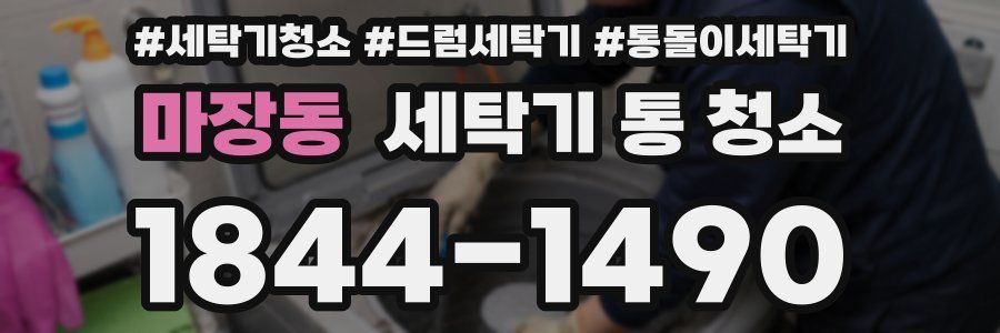 마장동 세탁기 통 청소