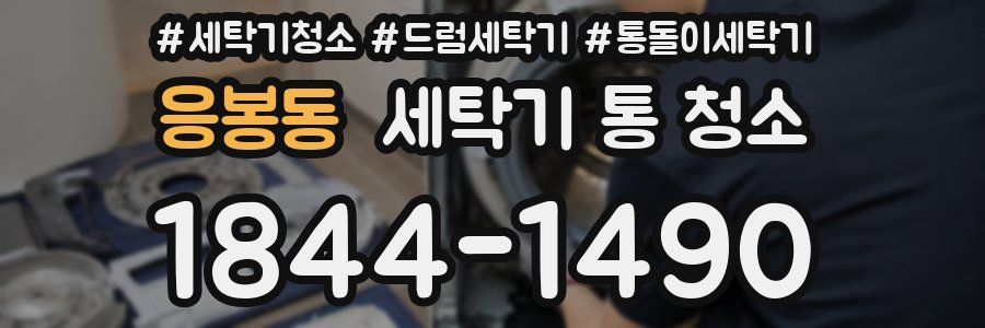 응봉동 세탁기 통 청소