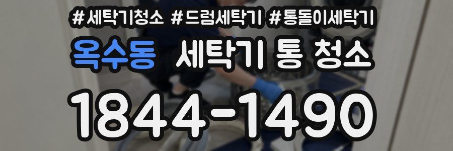 옥수동 세탁기 통 청소