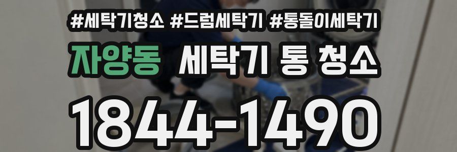 자양동 세탁기 통 청소