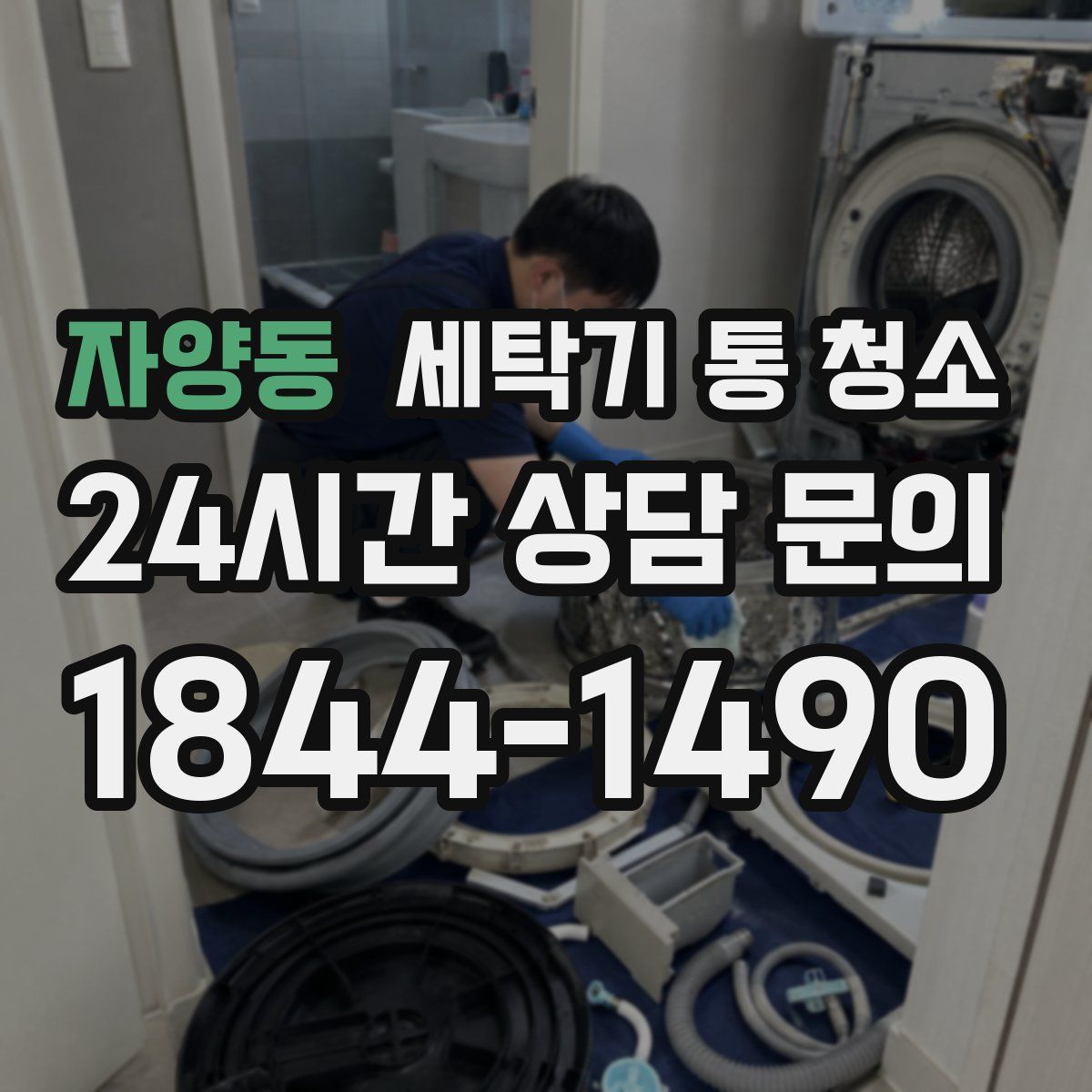 자양동 세탁기 통 청소