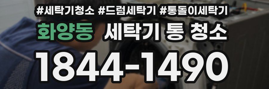 화양동 세탁기 통 청소