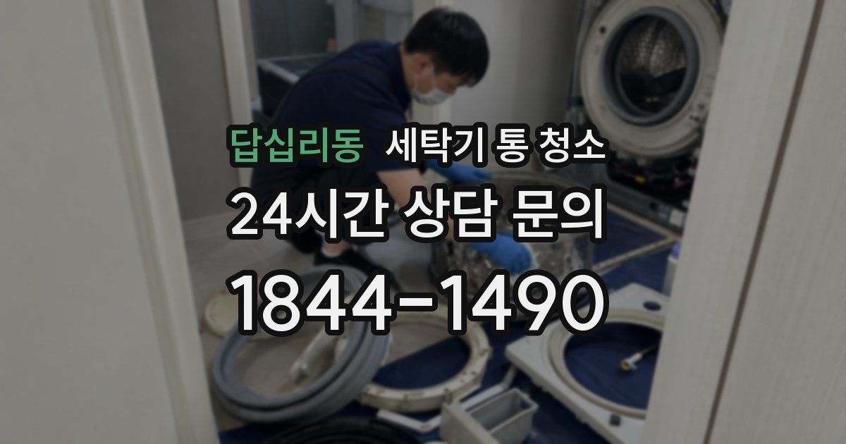 답십리동 세탁기 통 청소