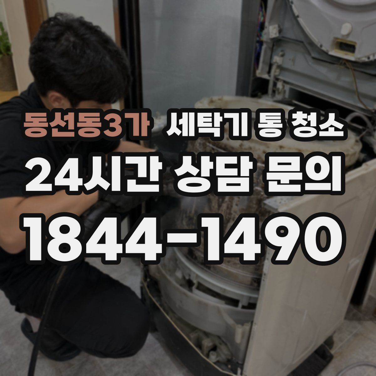 동선동3가 세탁기 통 청소