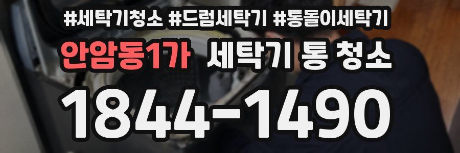 안암동1가 세탁기 통 청소