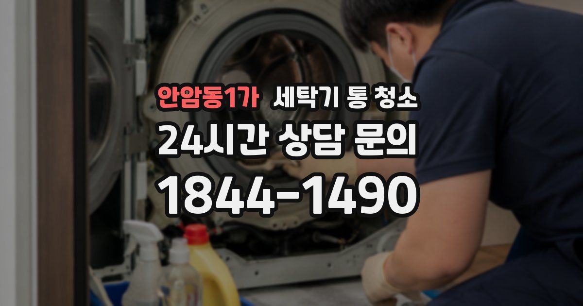 안암동1가 세탁기 통 청소