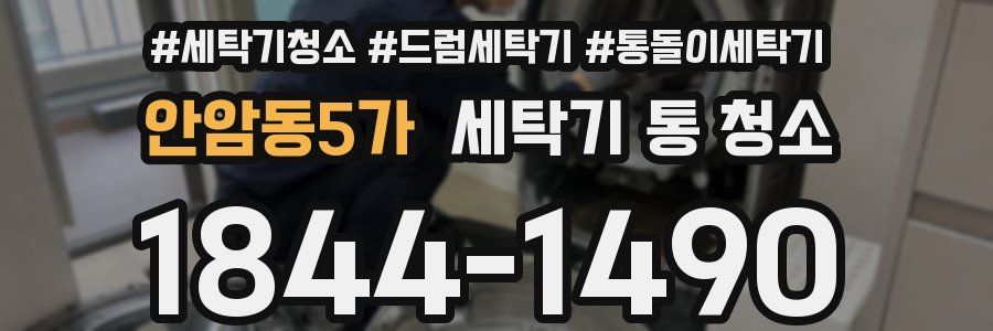 안암동5가 세탁기 통 청소