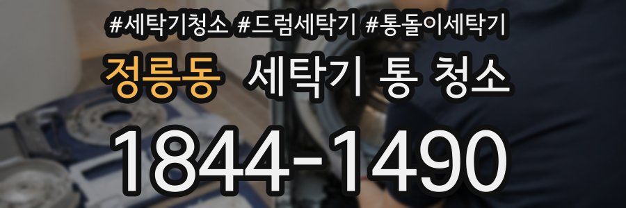 정릉동 세탁기 통 청소