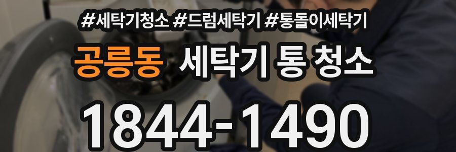 공릉동 세탁기 통 청소