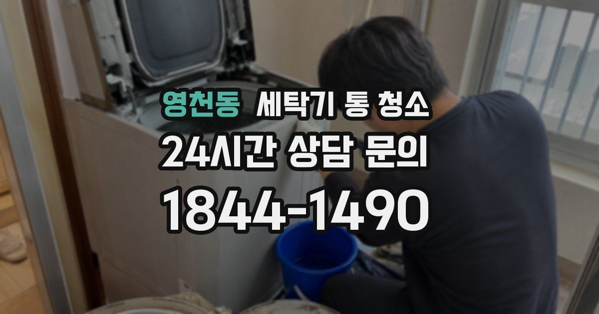 영천동 세탁기 통 청소