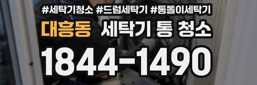 대흥동 세탁기 통 청소