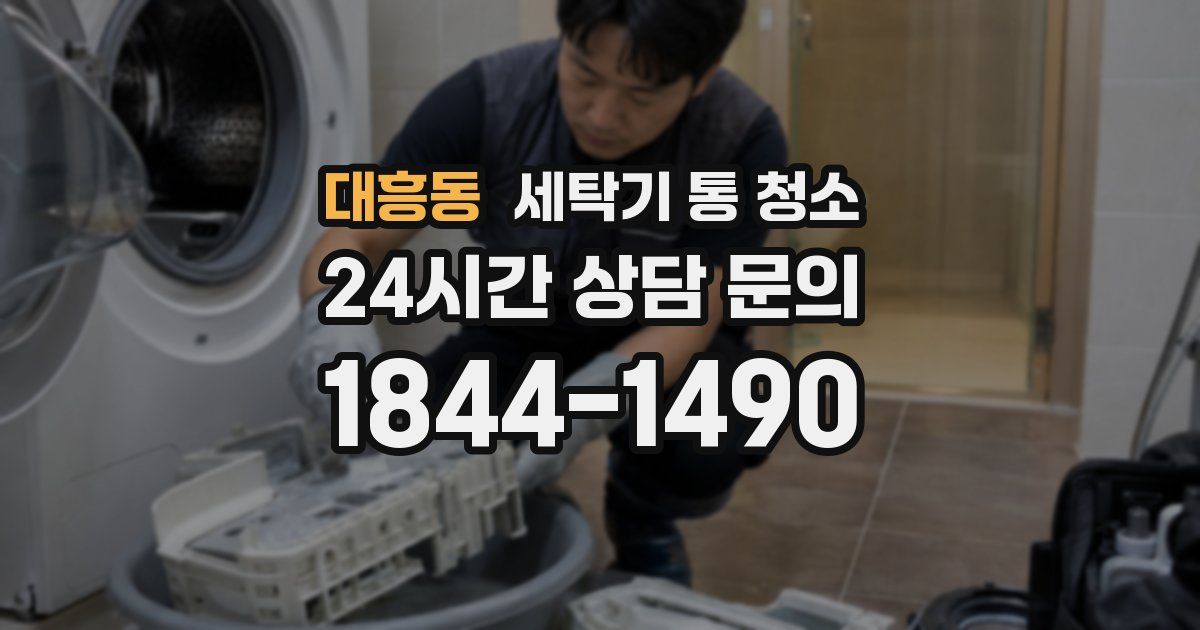 대흥동 세탁기 통 청소
