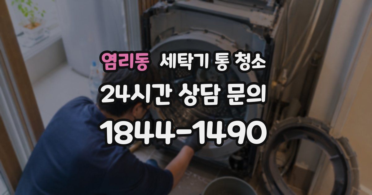 염리동 세탁기 통 청소
