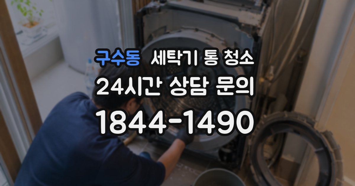 구수동 세탁기 통 청소