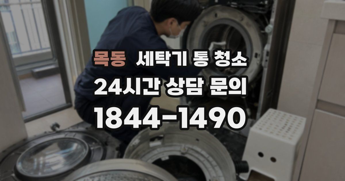 목동 세탁기 통 청소