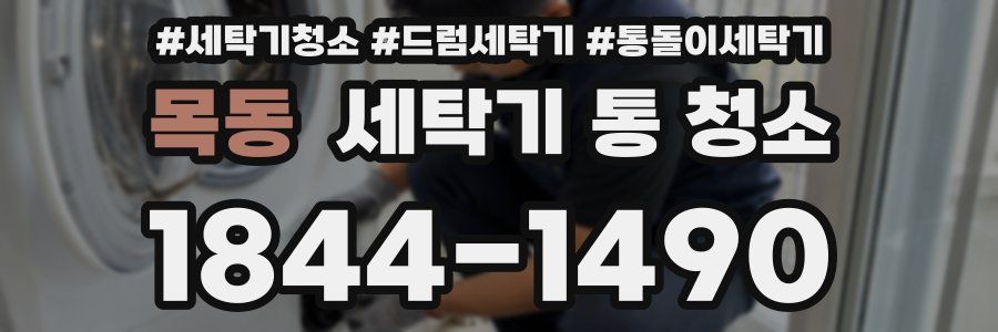 목동 세탁기 통 청소