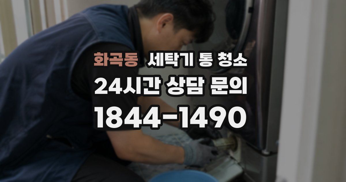 화곡동 세탁기 통 청소