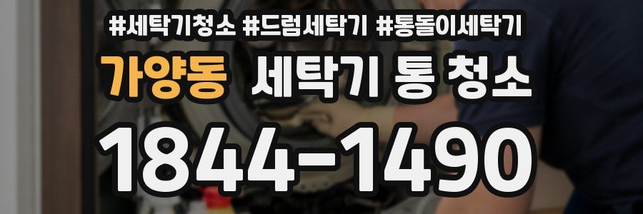 가양동 세탁기 통 청소