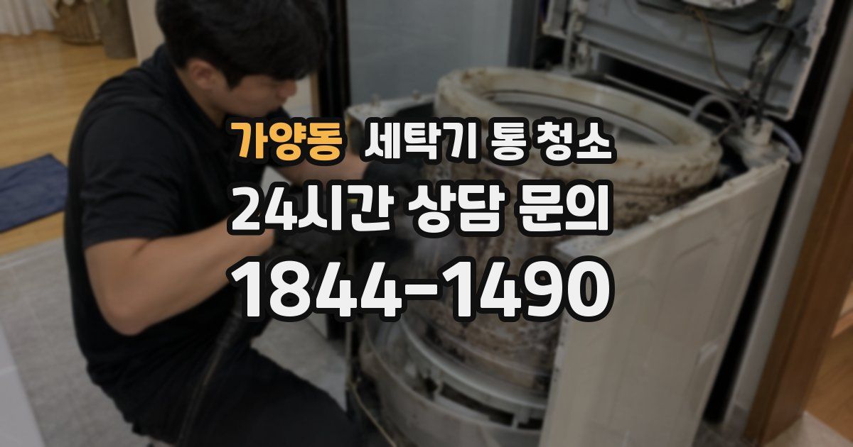 가양동 세탁기 통 청소