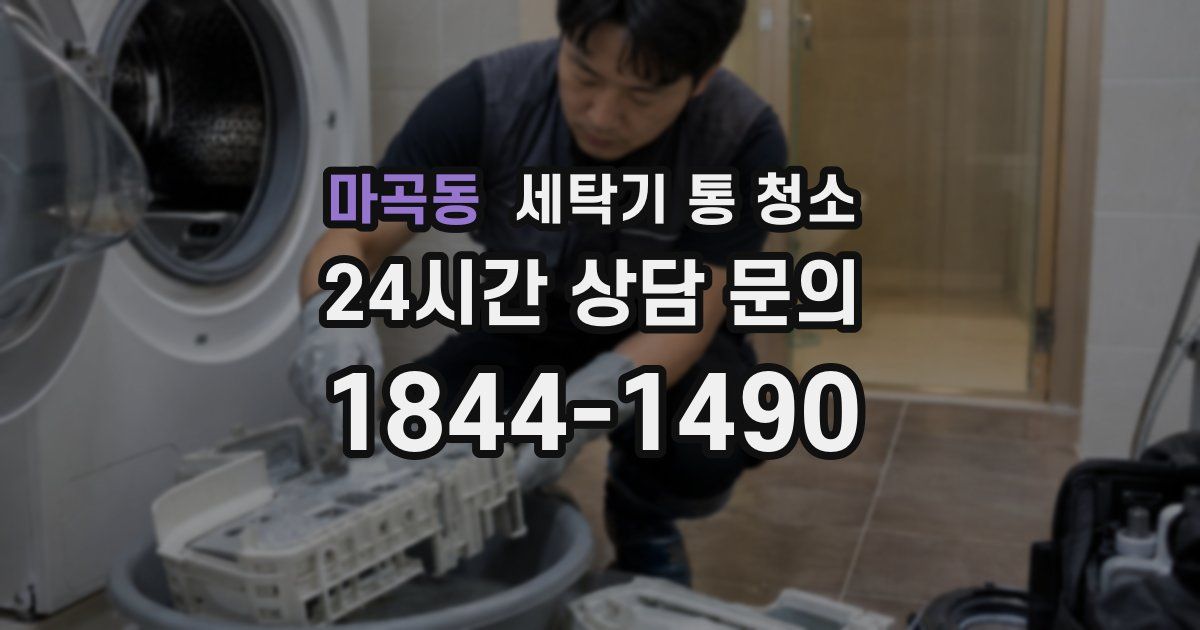 마곡동 세탁기 통 청소