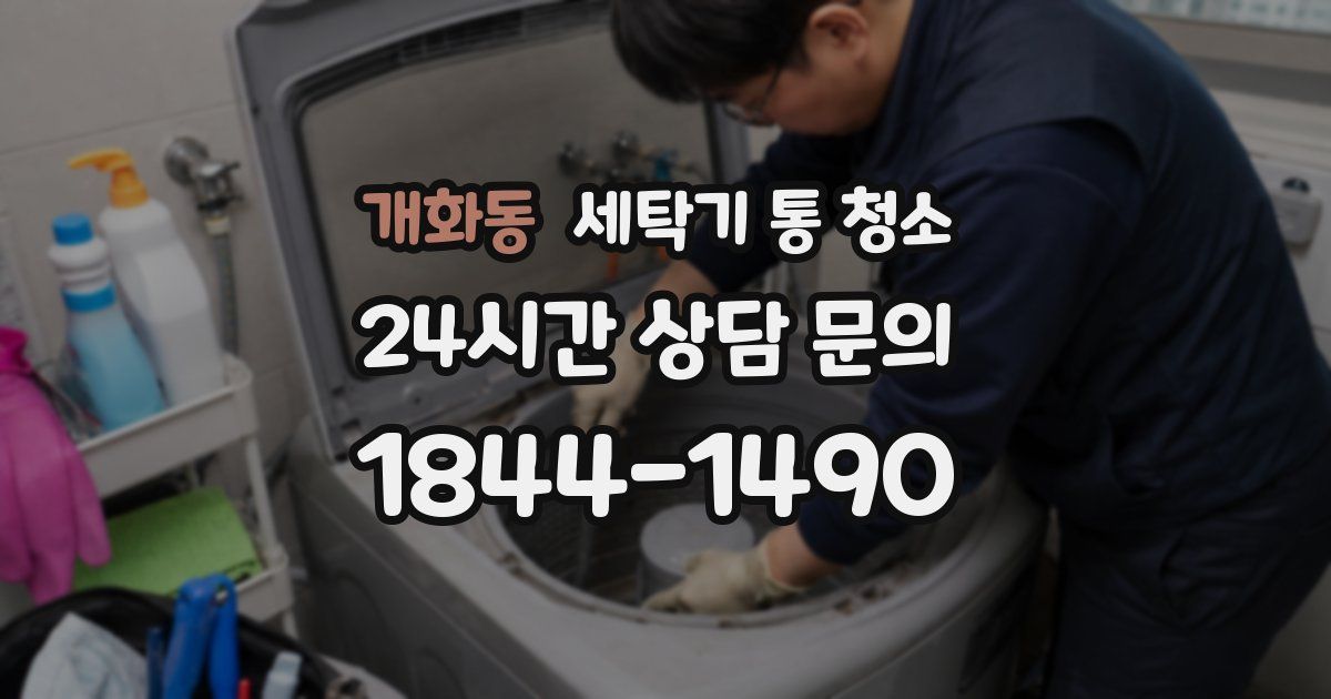 개화동 세탁기 통 청소