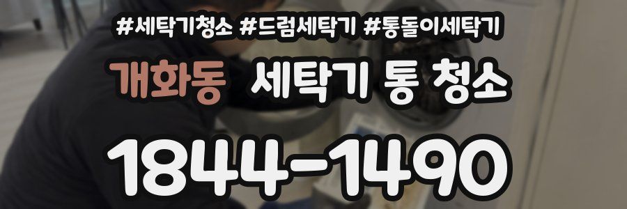 개화동 세탁기 통 청소