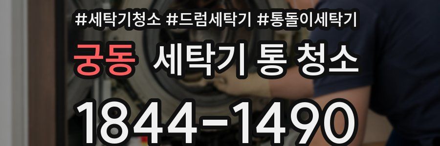 궁동 세탁기 통 청소