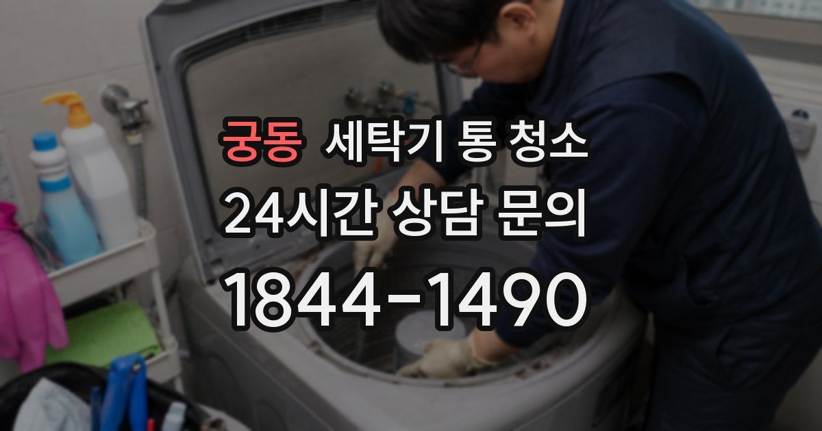궁동 세탁기 통 청소