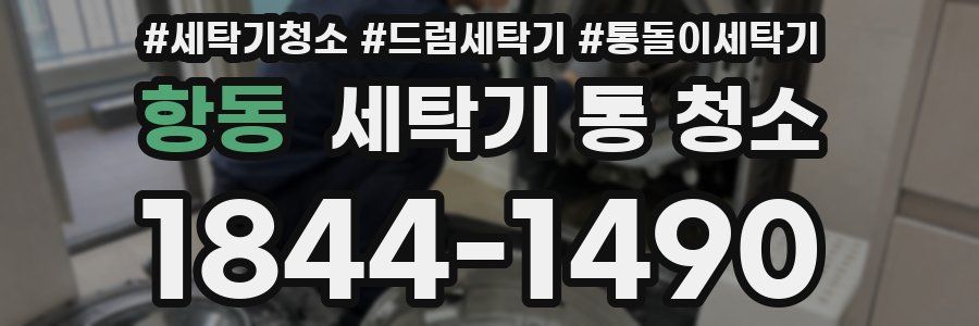 항동 세탁기 통 청소