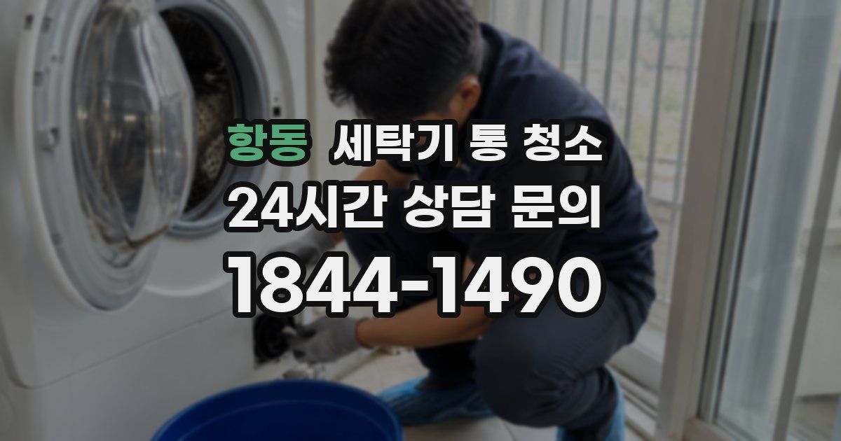 항동 세탁기 통 청소