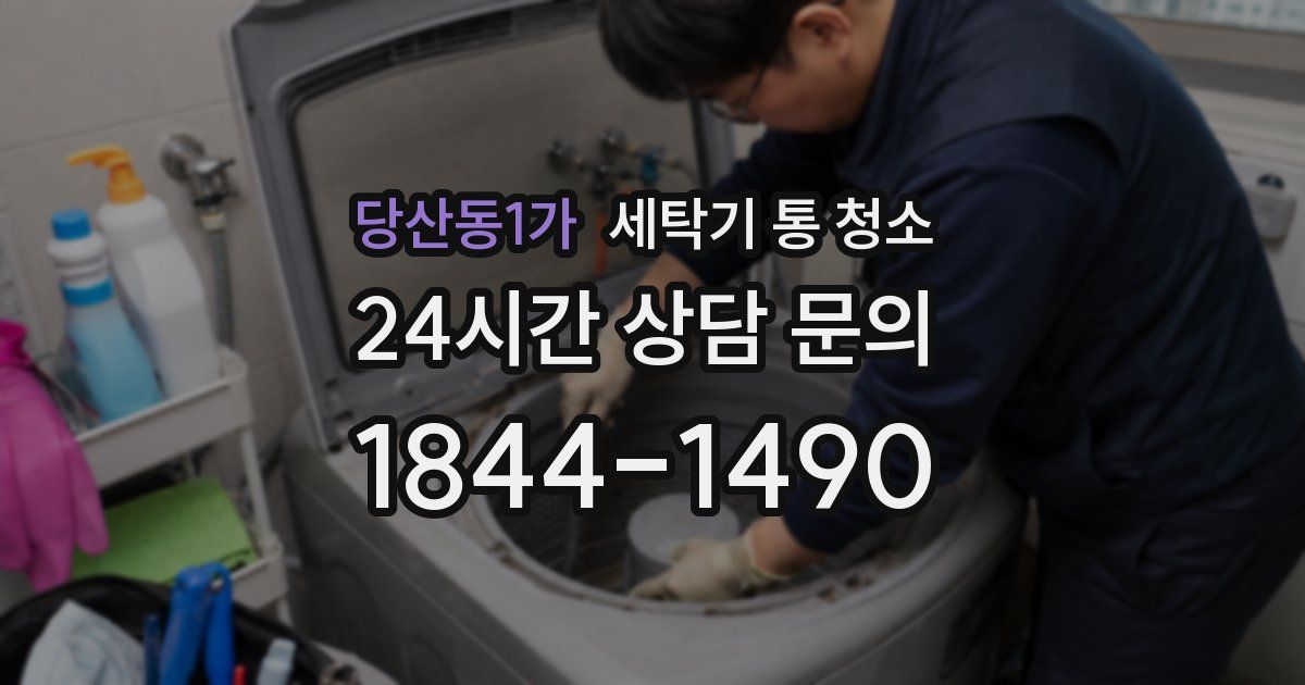 당산동1가 세탁기 통 청소