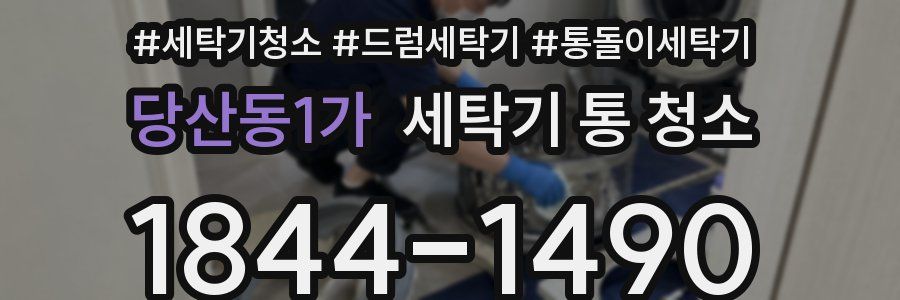 당산동1가 세탁기 통 청소