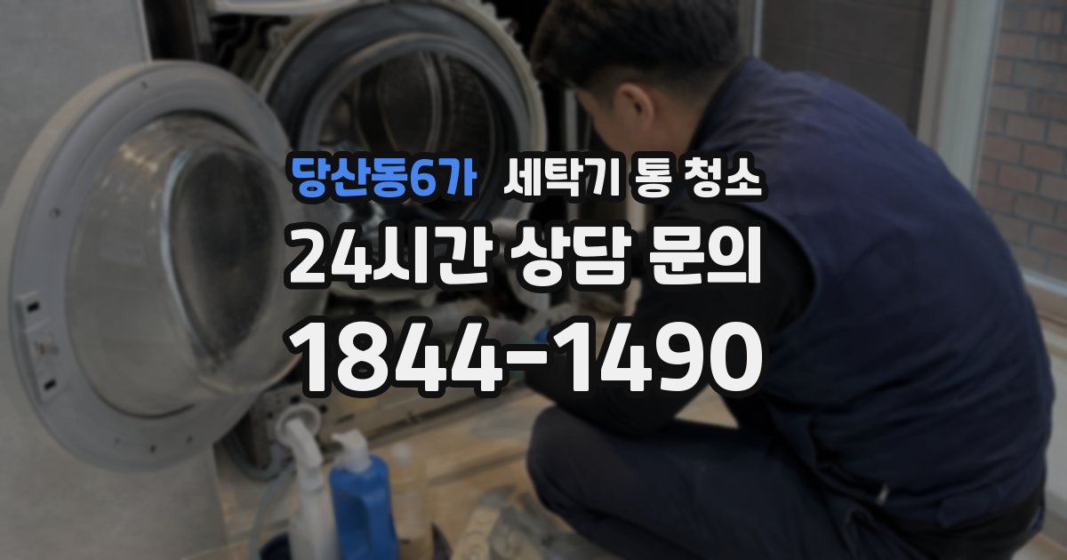 당산동6가 세탁기 통 청소