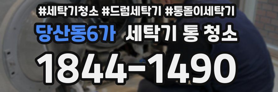 당산동6가 세탁기 통 청소