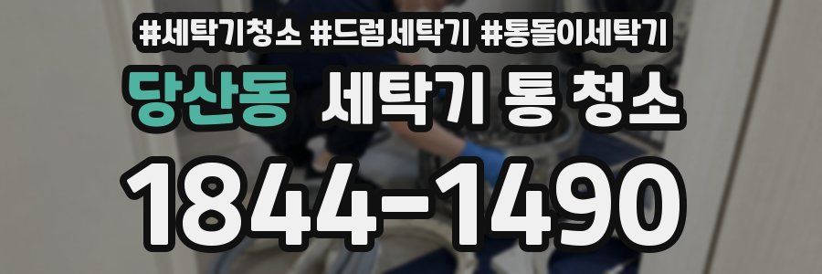 당산동 세탁기 통 청소