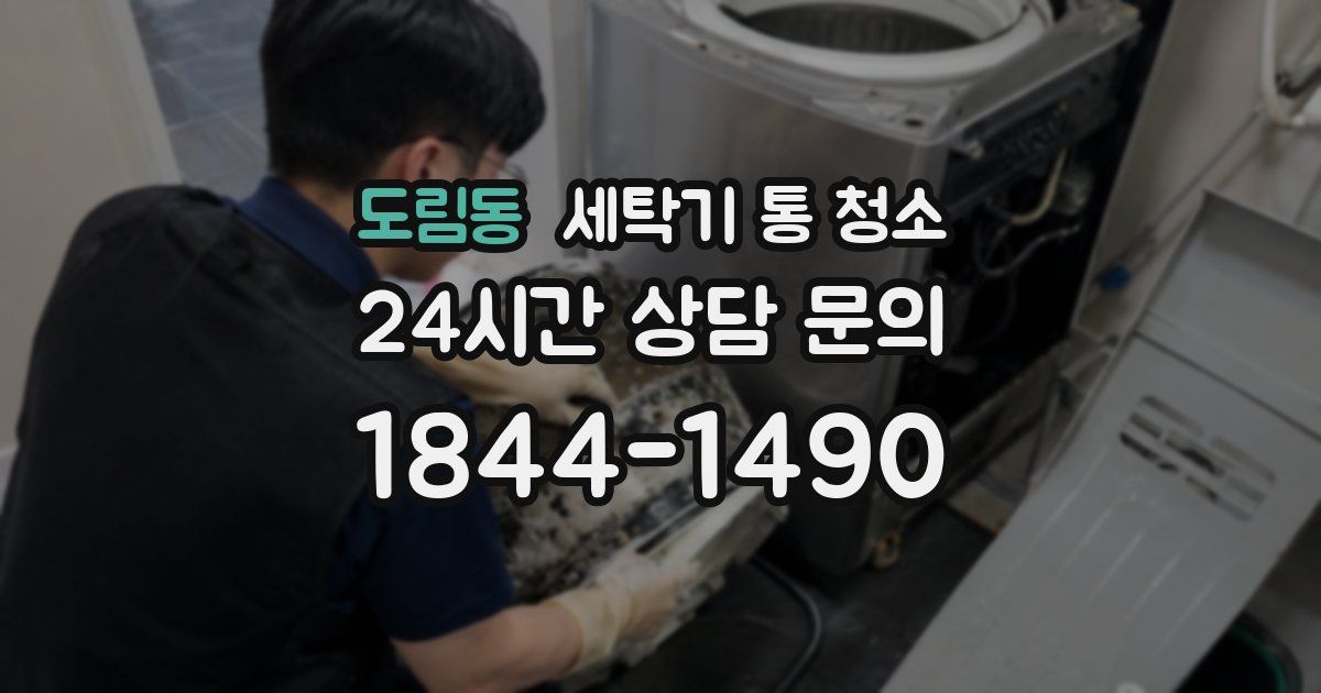 도림동 세탁기 통 청소