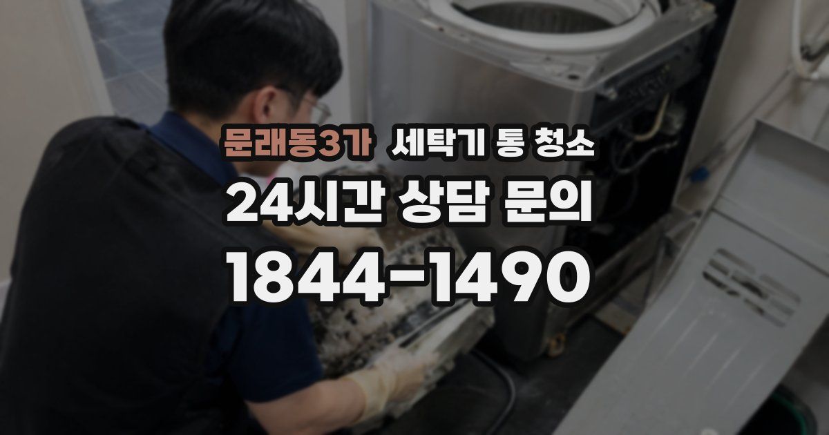 문래동3가 세탁기 통 청소